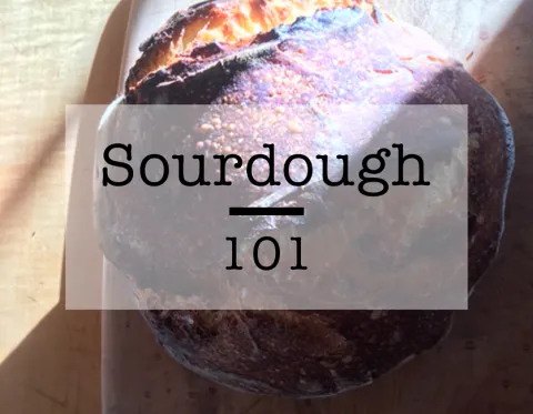 Sourdough 101