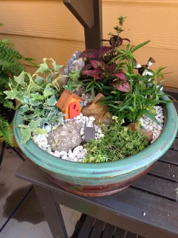 Whimsical Miniature Garden Workshop 