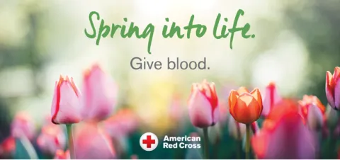 Spring tulips as background. Text reads "Spring into Life: Give Blood." 