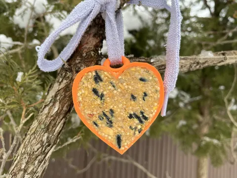 Bird feeder with suet mix