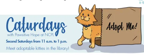 caturday promo image