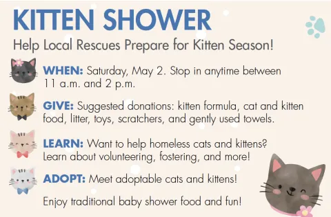 Kitten Shower Ad