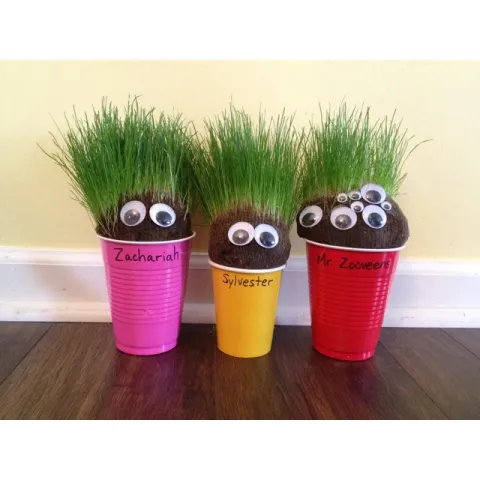 DIY Chia Pet: Library to Go Kit 