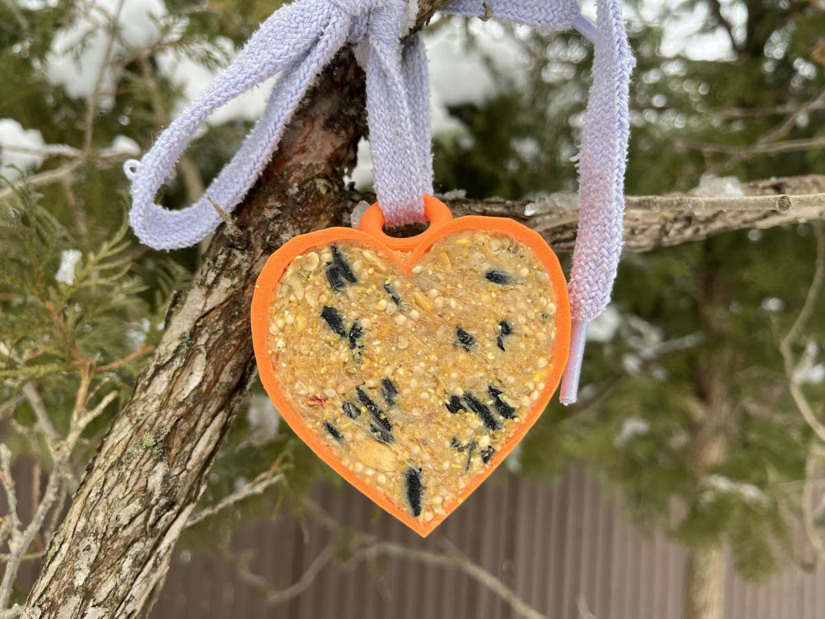 Bird feeder with suet mix