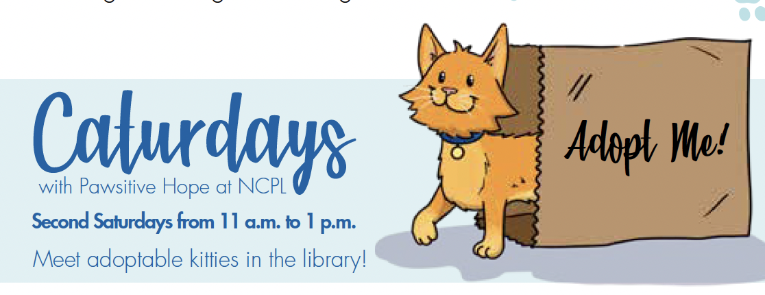 caturday promo image