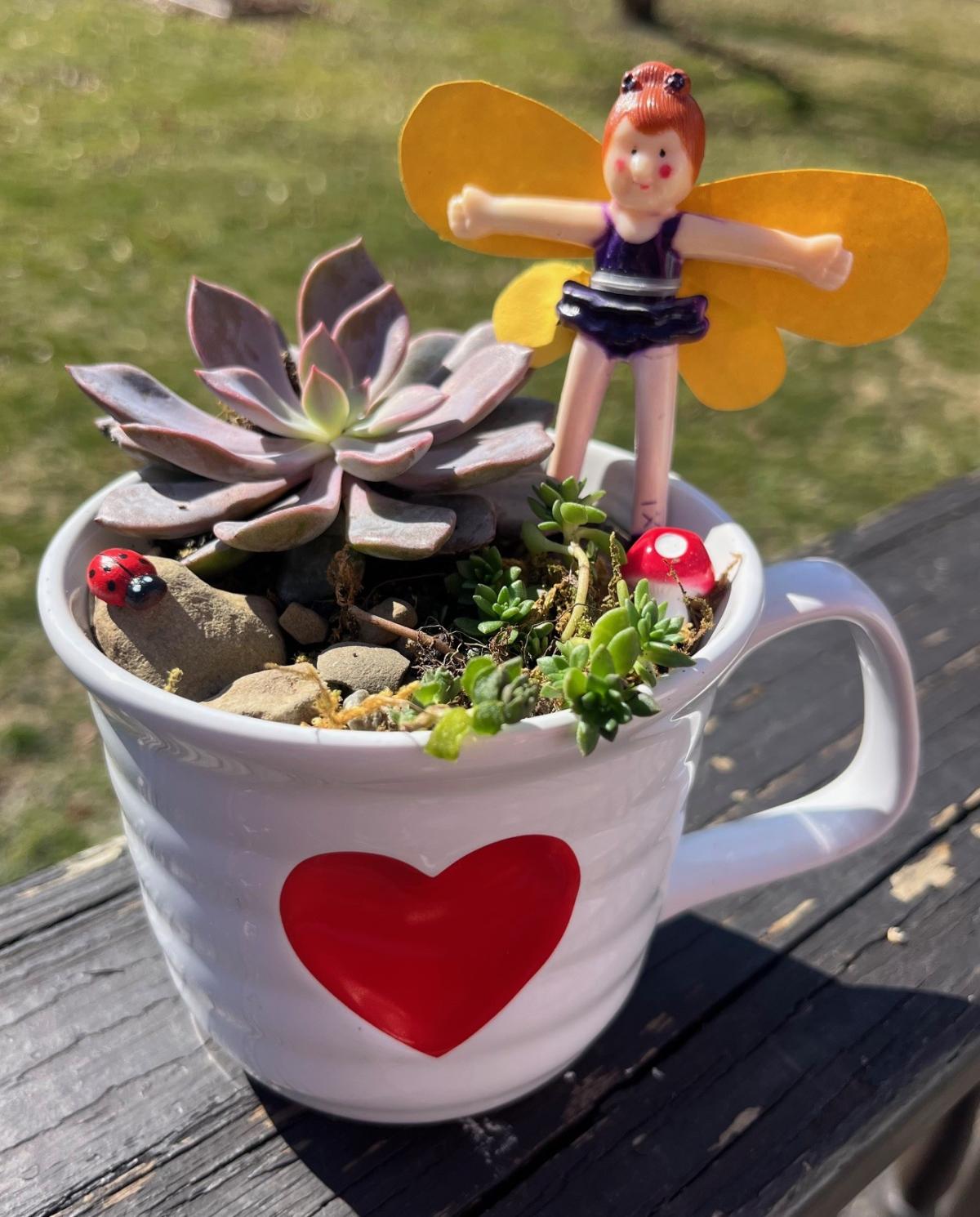 Whimsical Miniature Garden Workshop 